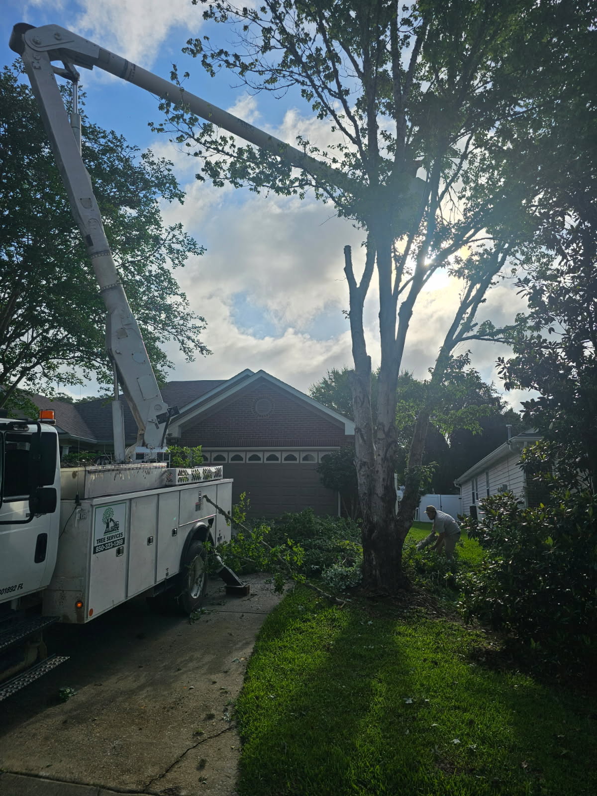 H&L bucket truck set up for residential tree work